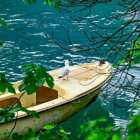 Oaza Omiš