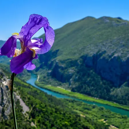Oaza Apartman Omiš
