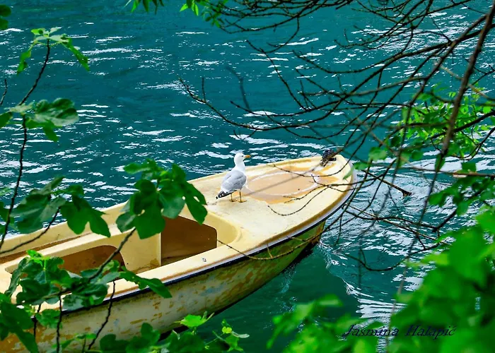 Oaza Omiš