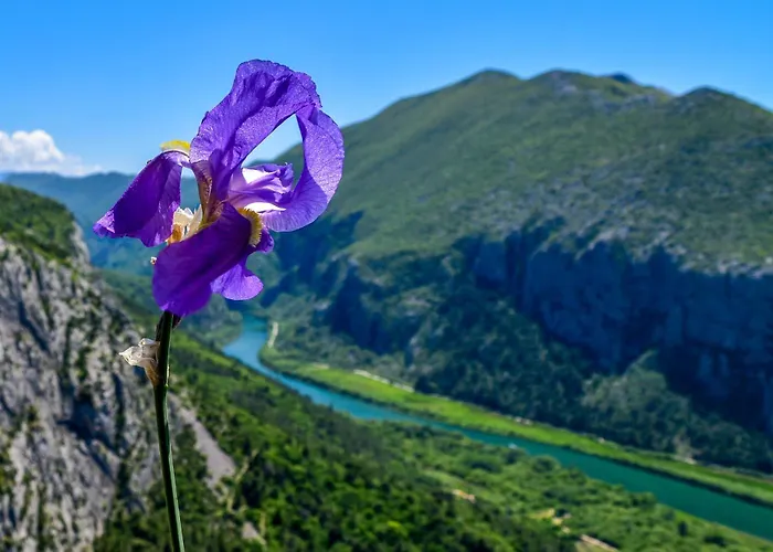 Oaza Appartement Omiš